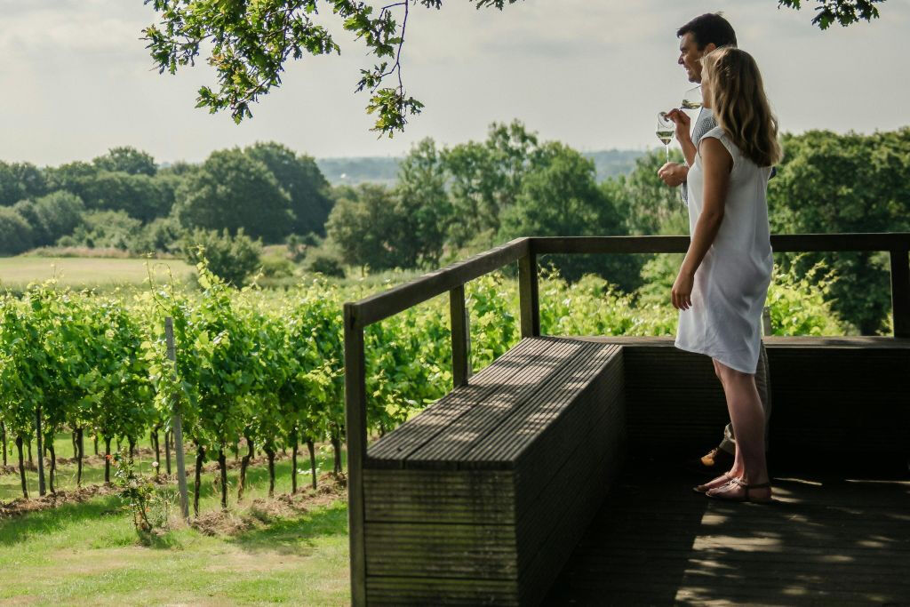 Kent: Guided Wine-Tasting Tour from London