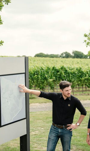 Kent: Guided Wine-Tasting Tour from London