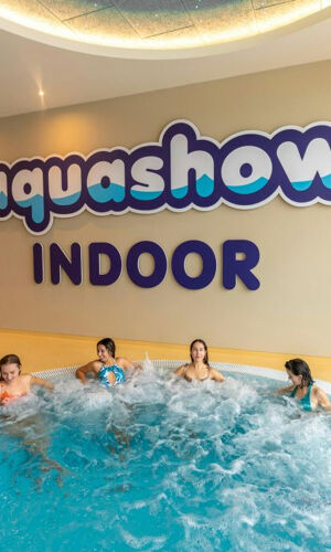 Aquashow: Entrada para o parque aquático interno