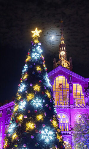 Les Llums de Vivers: Jardín de Navidad