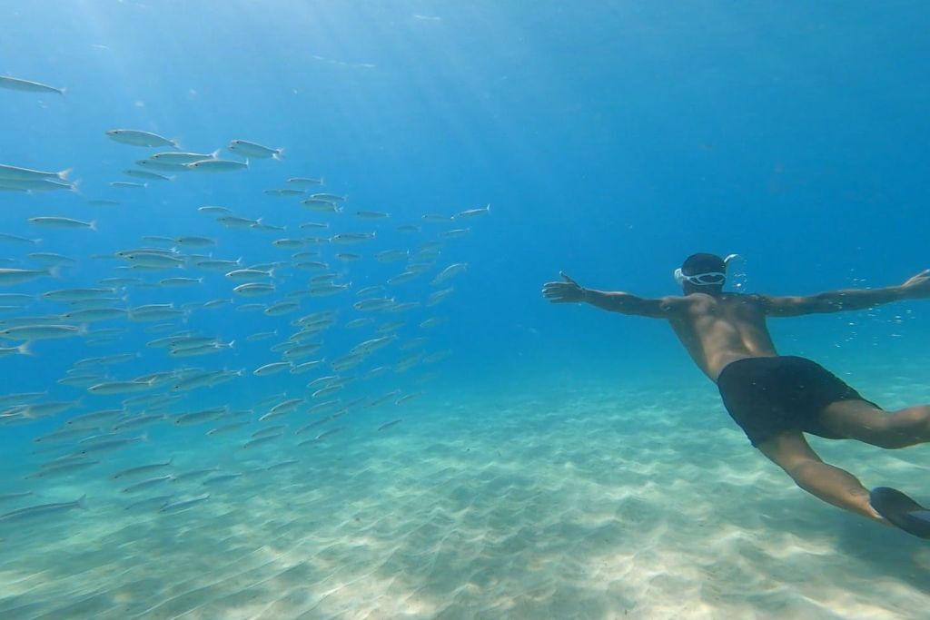 Mallorca: Paseo en Catamarán + Comida o Cena + Bebidas
