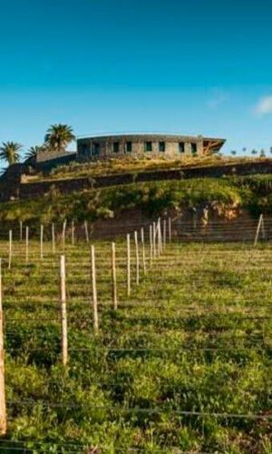 Bodegas El Sitio: Visita Guiada a Bodegas + Catas