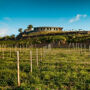 Bodegas El Sitio: Visita Guiada a Bodegas + Catas