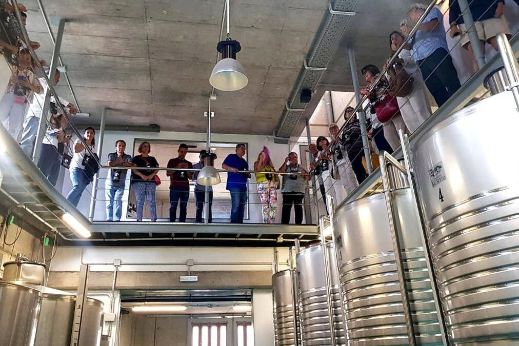 Bodegas El Sitio: Visita Guiada a Bodegas + Catas