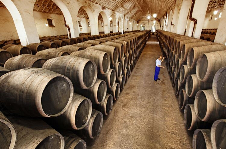 Bodega Pérez Barquero en Montilla (Córdoba)