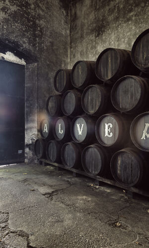 Bodega Alvear en Montilla (Córdoba)