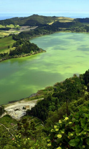 Furnas: Visita guiada às plantações de chá, lago e vulcão
