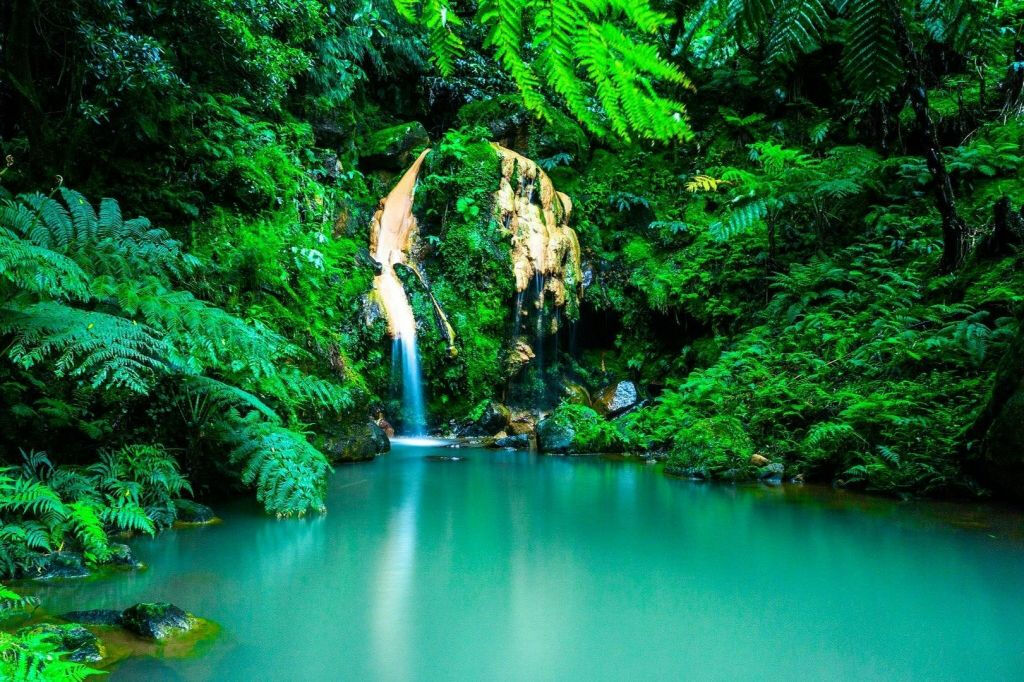 Lagoa do Fogo e fontes termais: Viagem de um dia a partir de Ponta Delgada