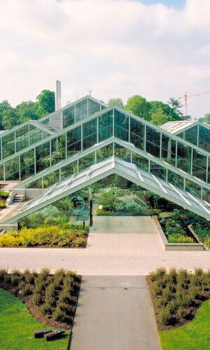 London: Westminster Guided Walking Tour + Kew Gardens Entry