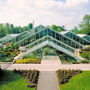 Londra: Tour guidato a piedi di Westminster + ingresso ai Kew Gardens