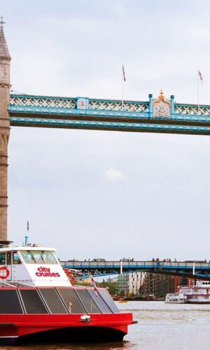London: Westminster Guided Walking Tour + Thames River Cruise