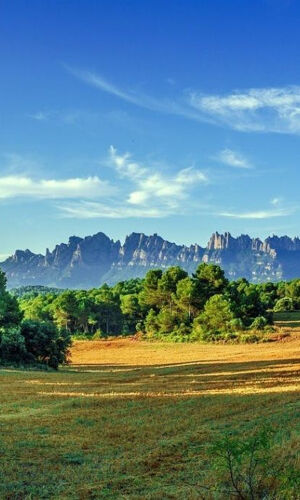 Montserrat: Half-Day Guided Tour from Barcelona