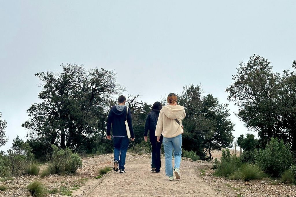 Montserrat: Half-Day Guided Tour from Barcelona