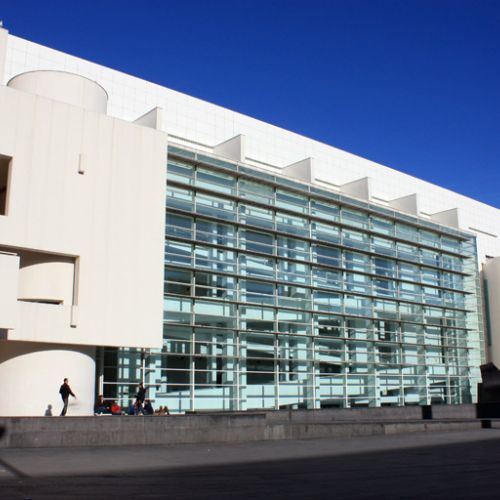 Pass Musei Barcellona - Articket: Salta la Coda