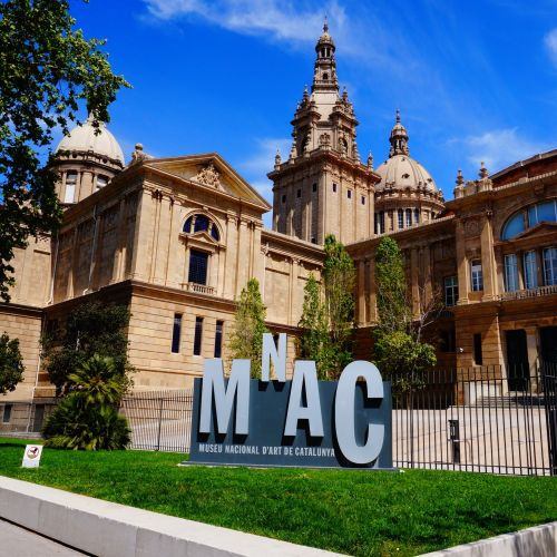 Pass Musei Barcellona - Articket: Salta la Coda