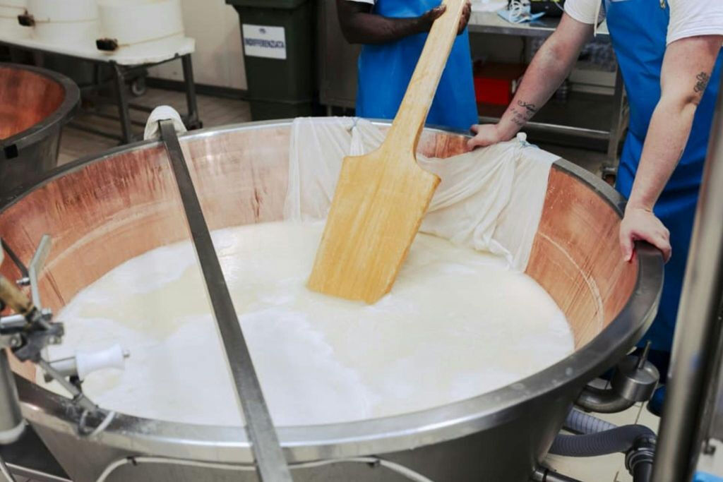 Noceto: Visita guidata e degustazione del Parmigiano Reggiano