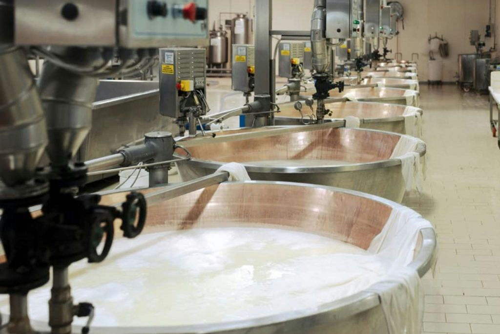 Noceto: Visita guidata e degustazione del Parmigiano Reggiano