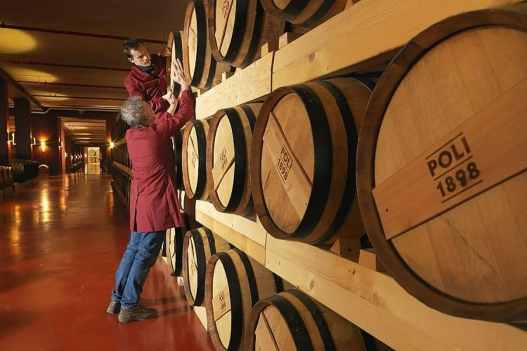 Venice: Grappa Tasting Experience