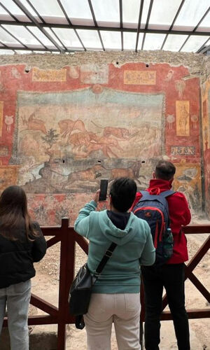 Pompei: Biglietto d'ingresso + tour guidato da Napoli