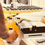 Roma: Corso di produzione del limoncello + degustazione + prelievo