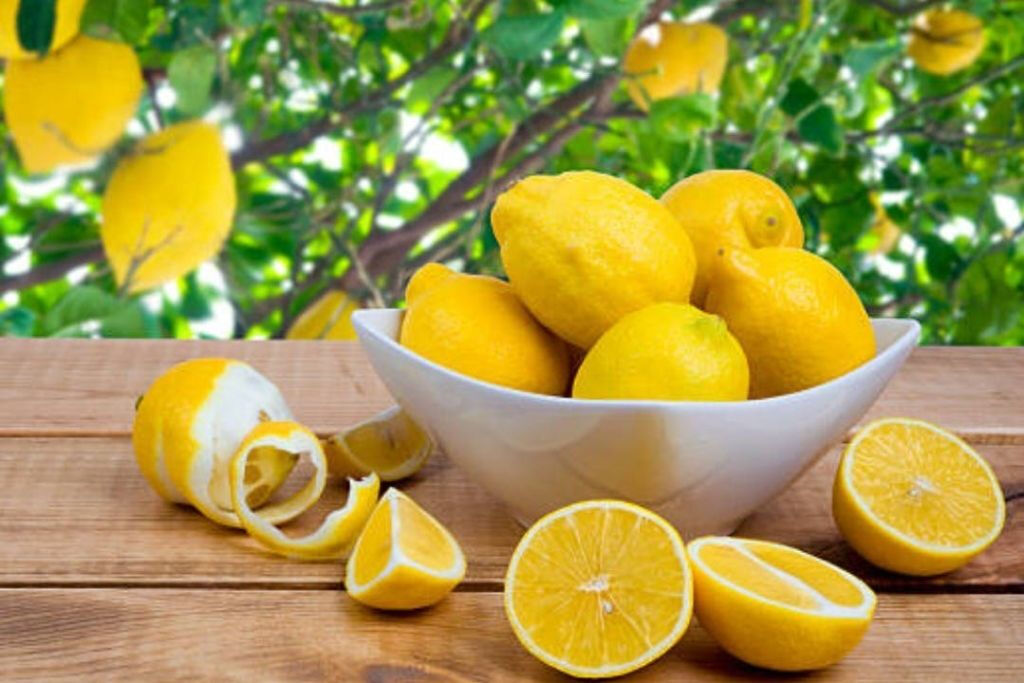 Roma: Corso di produzione del limoncello + degustazione + prelievo