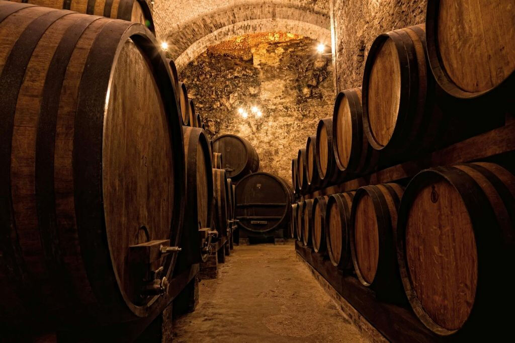 Passeio a pé: Almoço, passeio de barco e degustação de vinhos