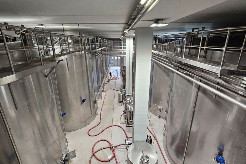 Da Venezia: Tour del Prosecco con degustazione di vini e pranzo