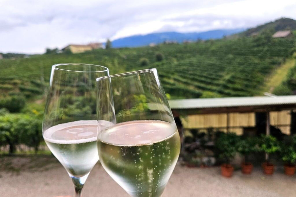 Da Venezia: Tour del Prosecco con degustazione di vini e pranzo