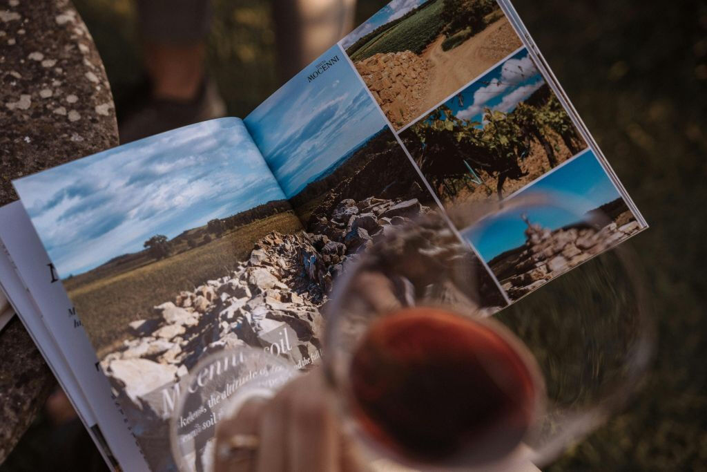 Tenuta Mocenni di Bindi Sergardi: visita guidata e degustazione di vini