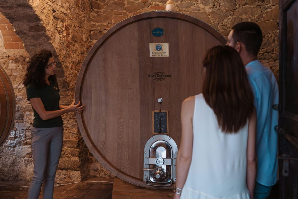Tenuta Mocenni di Bindi Sergardi: visita guidata e degustazione di vini