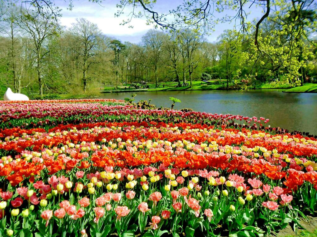 Keukenhof: Entrada