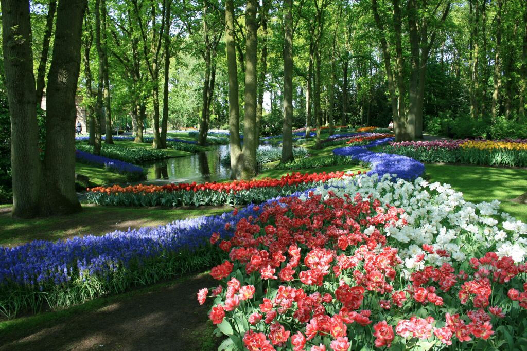 Keukenhof: Entrada