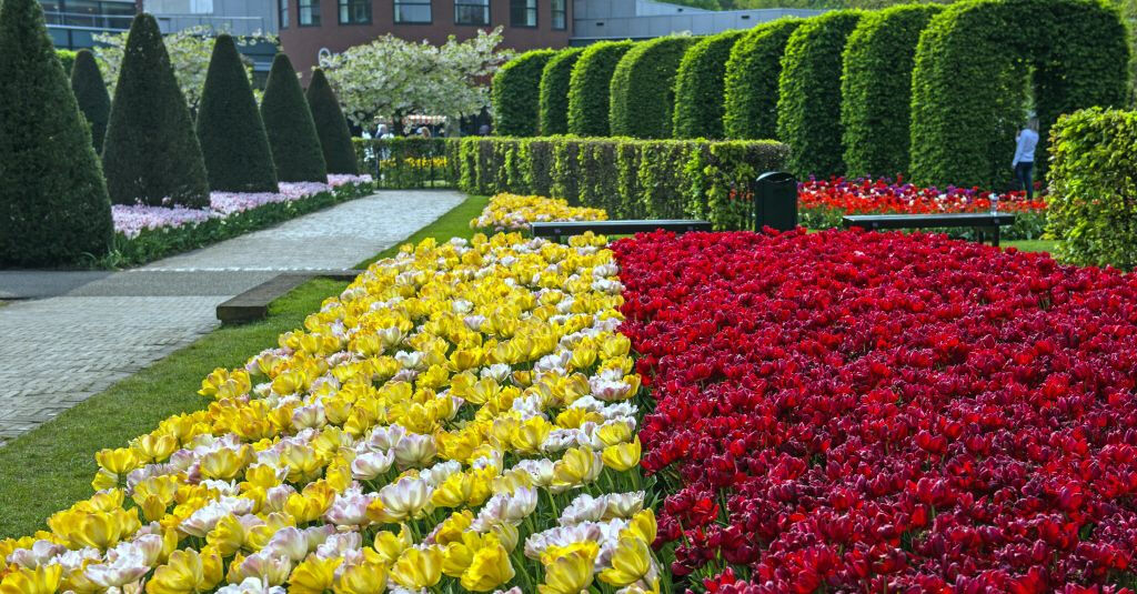 Keukenhof: Entrada