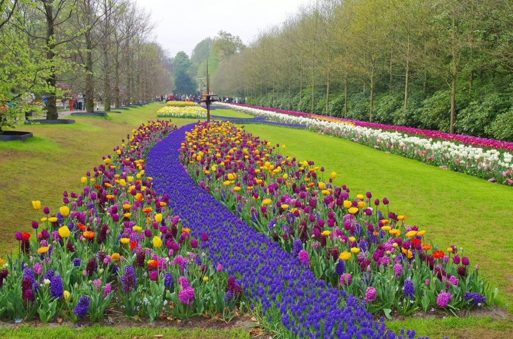 Keukenhof: Entrada