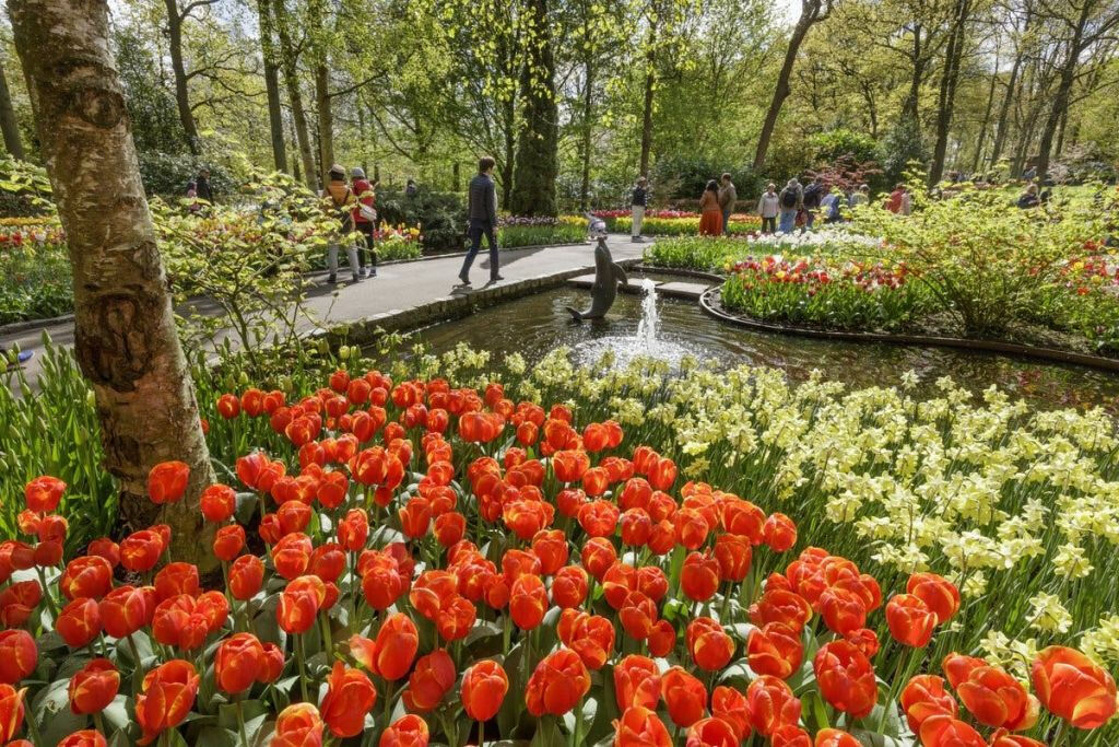 Keukenhof: Entrada