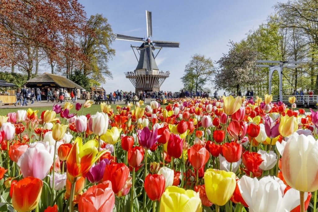 Keukenhof: Entrada