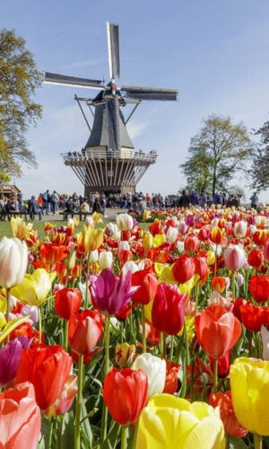 Keukenhof : Billet d'entrée