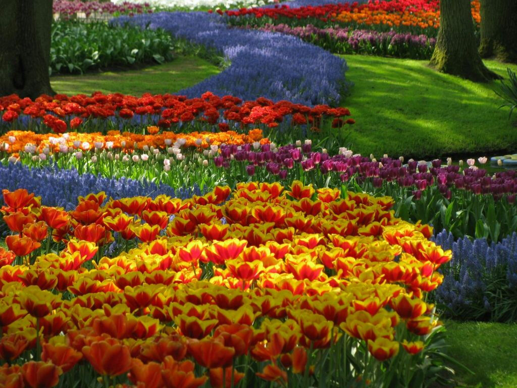 Keukenhof: Entrada