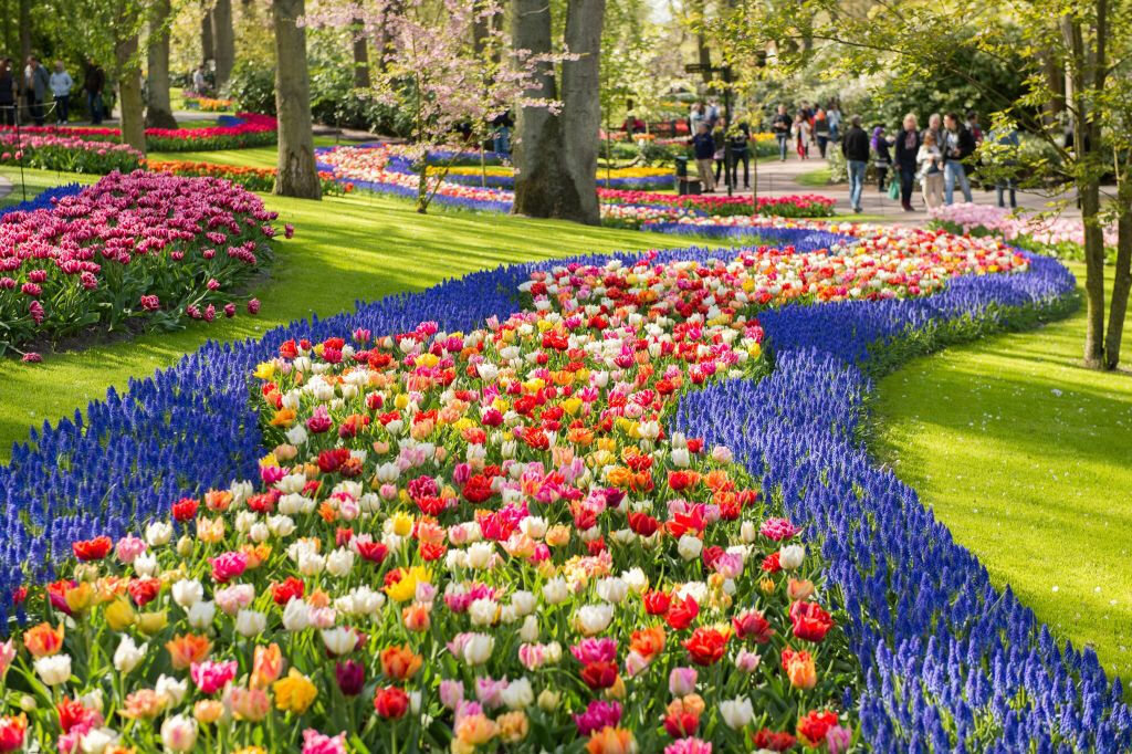 Keukenhof: Entrada