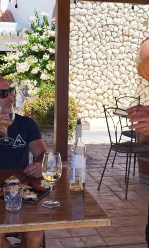 Algarve: Prova de Vinhos e Tapas + Passeio de 4x4