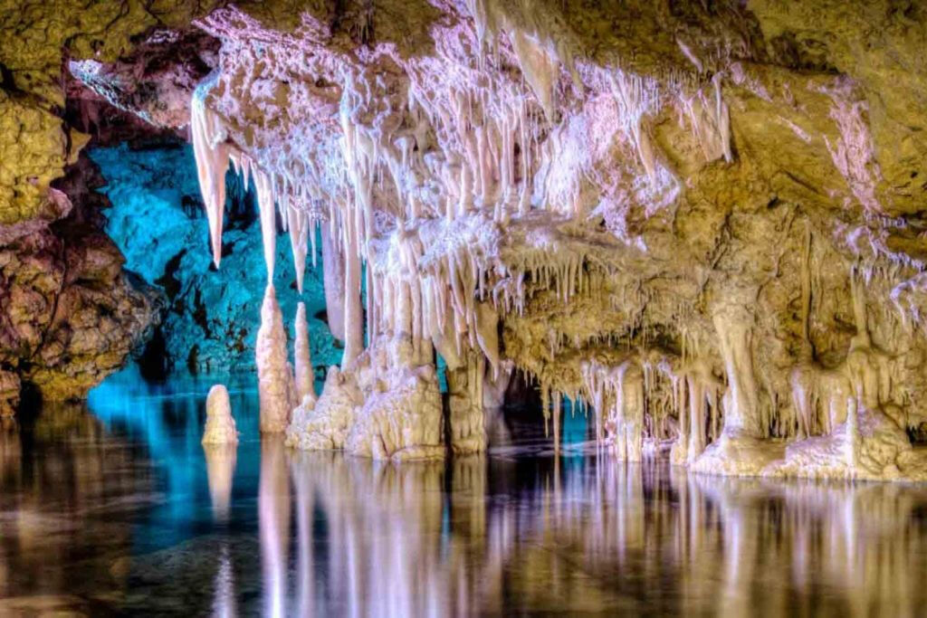 Dinosaurland & Hams' Caves : Billet combiné