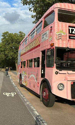 London: Bus Tour + Afternoon Tea