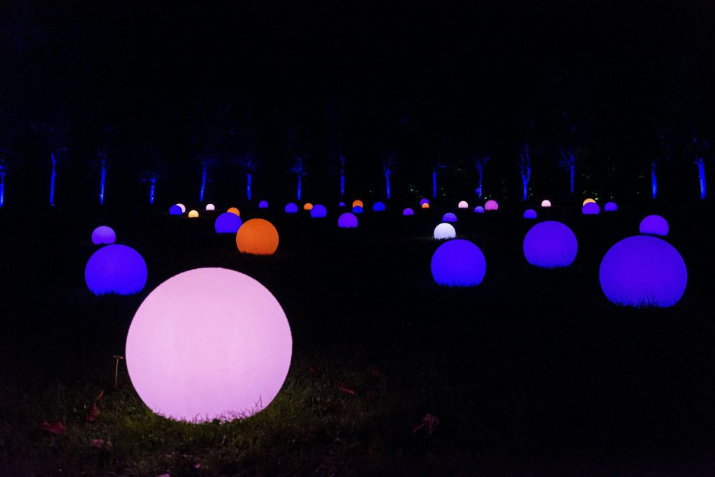 Els Llums de Sant Pau : Christmas Garden