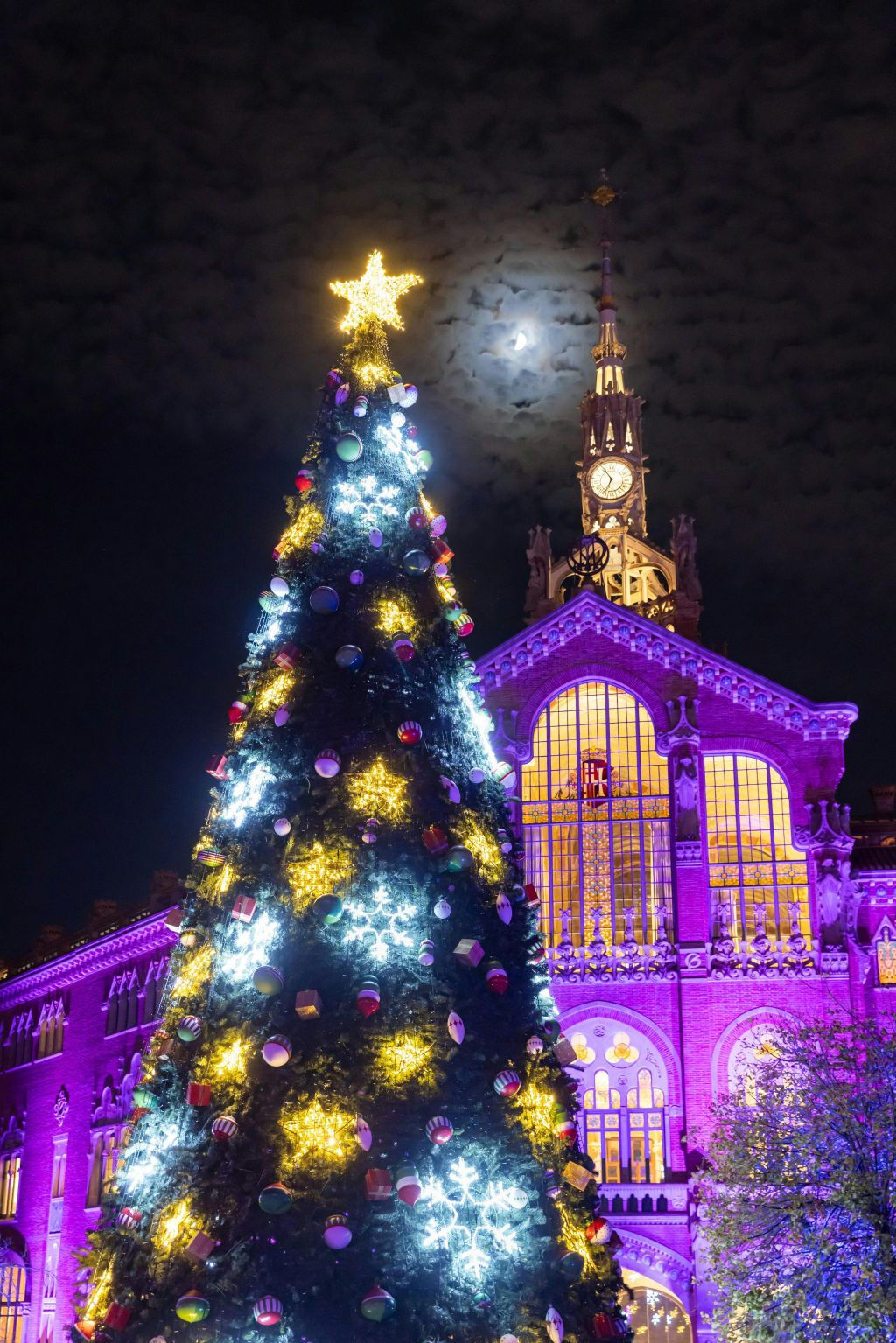 Els Llums de Sant Pau : Christmas Garden