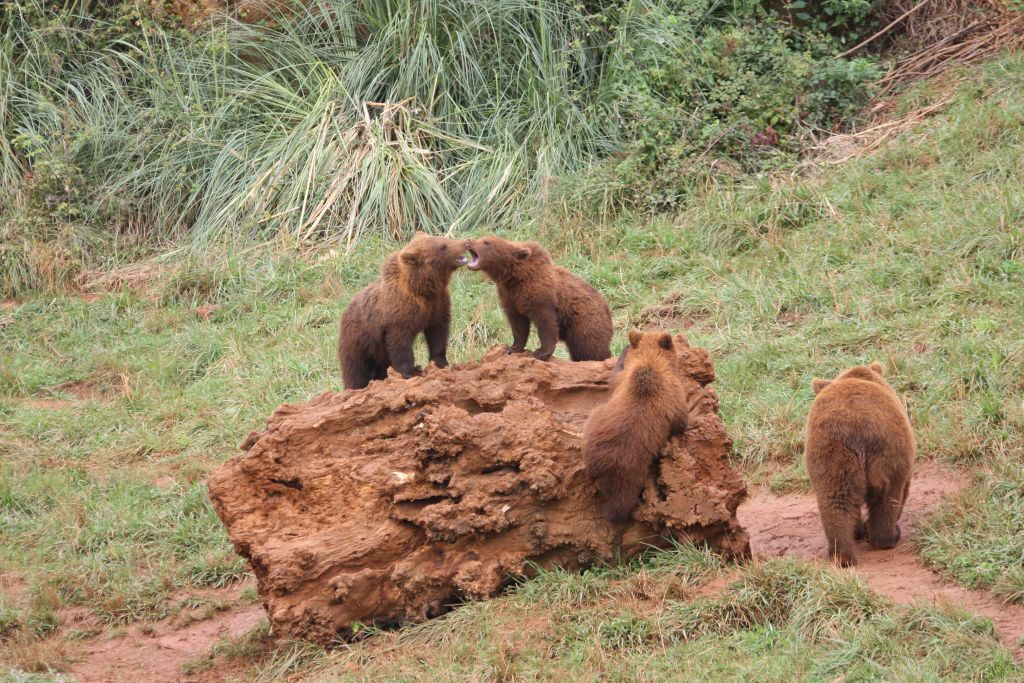 Parque de la Naturaleza de Cabárceno