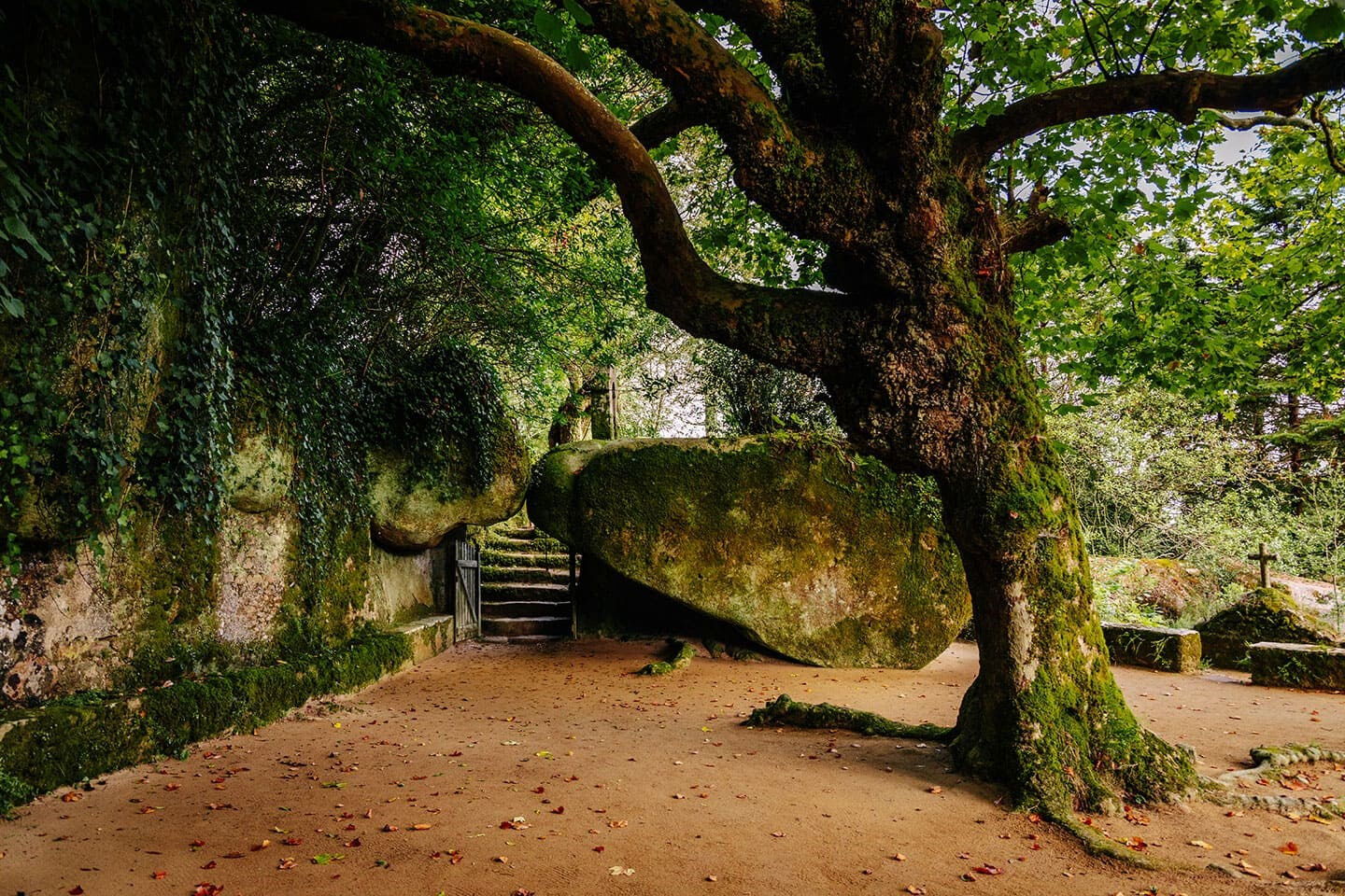 Couvent des Capucins: Billet d'entrée