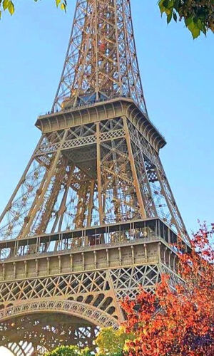 Tour Eiffel 2ème étage et option sommet + Croisière sur la Seine