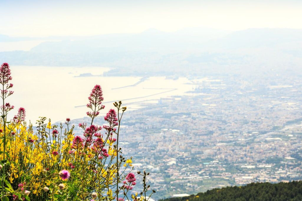 Mont Vésuve : Entrée rapide + transfert aller-retour depuis Naples