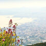 Mont Vésuve : Billet coupe-file + Trajet aller-retour depuis Naples
