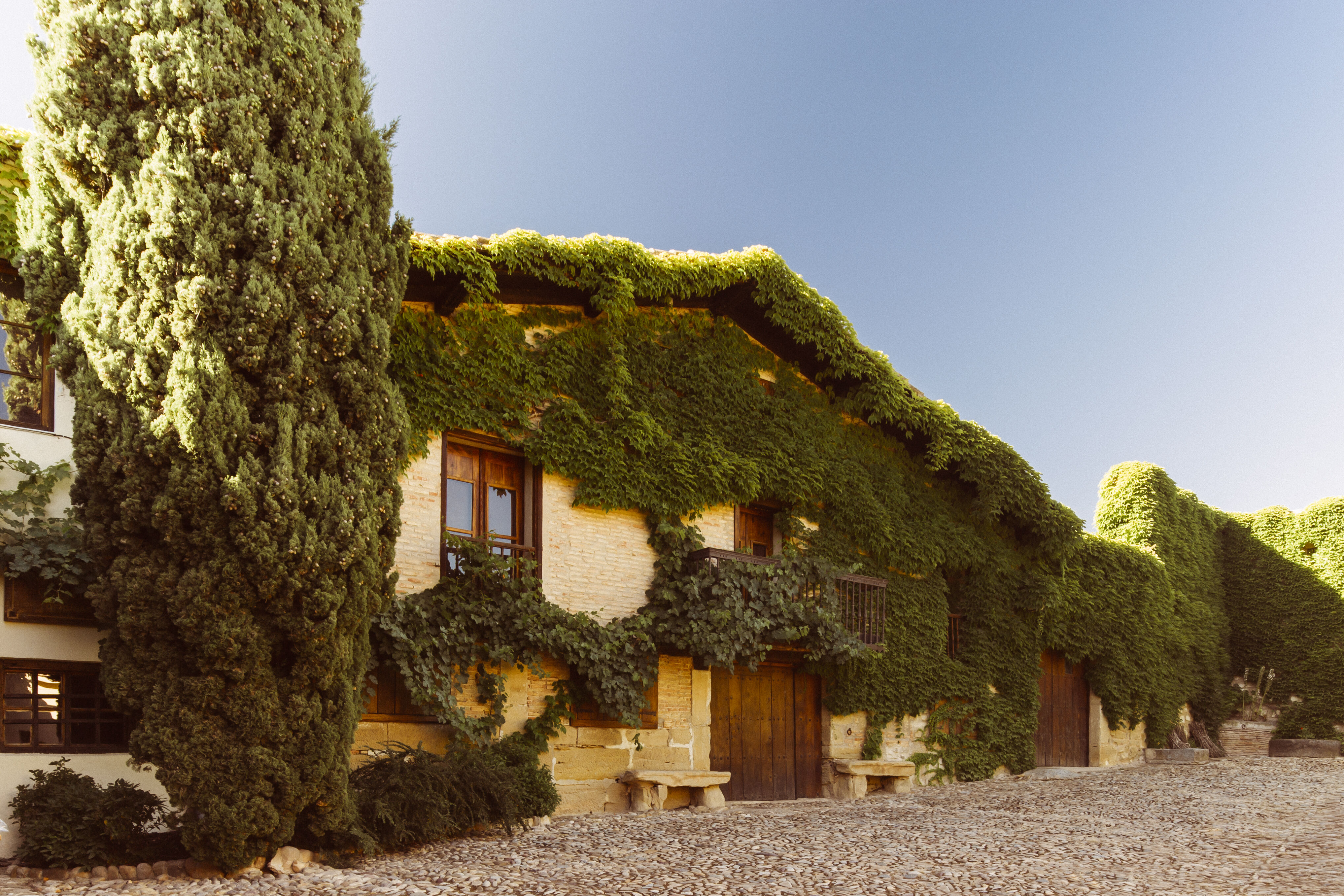 Bodega Viñedos del Contino (Álava)
